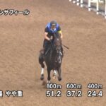 【ラジオNIKKEI賞2025】追い切り/抜群の動きを見せたのは