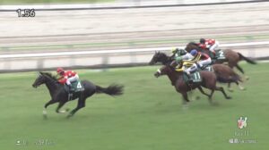 【七夕賞2025】出走予定馬・騎手/願えば叶う