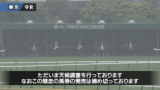 【アハルテケS】ウェイワードアクト&戸崎騎手がキタ━━━━(゚∀゚)━━━━!!