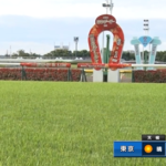 東京競馬場の芝が重から稍重に回復する