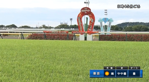 東京競馬場の芝が重から稍重に回復する