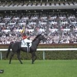 ダービージョッキー 北村友一騎手