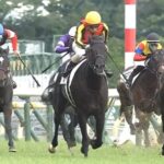 クロワデュノール凱旋門賞挑戦決定。鞍上は北村友一騎手、前哨戦プランスドランジュ賞から