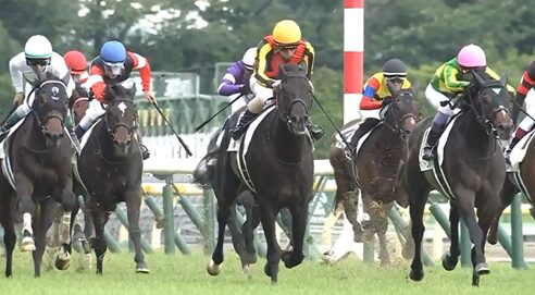 【日本ダービー】クロワデュノール強すぎワロタwww