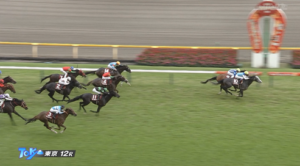 【目黒記念】アドマイヤテラ＆武豊騎手がｷﾀ━━━━(ﾟ∀ﾟ)━━━━!!