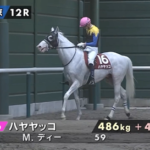 ハヤヤッコ引退へ