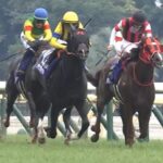 ジャンタルマンタルがフランスGⅠ2レースに登録【次走報】