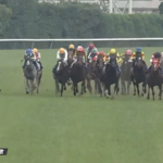 ソウルラッシュが骨折