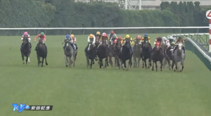 【安田記念】久々に川田騎手の迫真のガチ追い見た気がする　他
