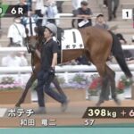 【土曜阪神6R】怪物ポテチおるやん