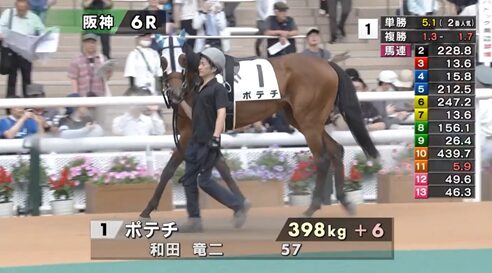 【土曜阪神6R】怪物ポテチおるやん
