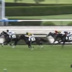 【土曜阪神5R】新馬戦の時間だあああああああ