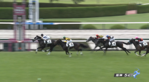 【土曜阪神5R】新馬戦の時間だあああああああ
