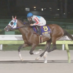【東京ダービー】ナチュラルライズ強すぎワロタ
