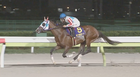【東京ダービー】ナチュラルライズ強すぎワロタ