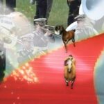 【宝塚記念】メイショウタバル&武豊騎手がキタ━━━━━━━━m9( ゚∀゚)━━━━━━━━!!