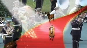 【宝塚記念】メイショウタバル＆武豊騎手がｷﾀ━━━━━━━━m9( ﾟ∀ﾟ)━━━━━━━━!!