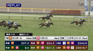 【パラダイスS】１４番人気のカリボールさん