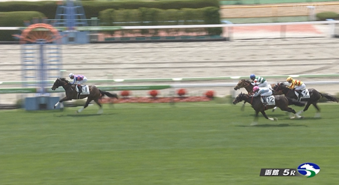 【土曜函館5R新馬戦】カイショー&池添騎手がキタ━━━━(゚∀゚)━━━━!!