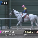 ハヤヤッコ、ノーザンホースパークで展示へ