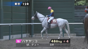 ハヤヤッコ、ノーザンホースパークで展示へ