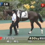 【日曜東京5R新馬戦】いよいよコントレイル産駒デビューか