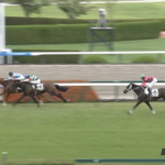 【日曜阪神5R新馬戦】サレジオ&ルメール騎手がキタ━━━━(゚∀゚)━━━━!!