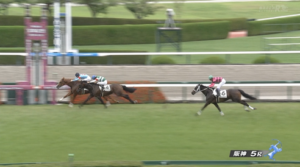 【日曜阪神5R新馬戦】サレジオ&ルメール騎手がキタ━━━━(゚∀゚)━━━━!!
