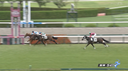 【日曜阪神5R新馬戦】サレジオ&ルメール騎手がキタ━━━━(゚∀゚)━━━━!!
