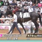 【土曜阪神5R新馬戦】いよいよいっくん×コントレイル産駒か…
