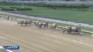 【さきたま杯】シャマル＆川須騎手がｷﾀ━━━━(ﾟ∀ﾟ)━━━━!!