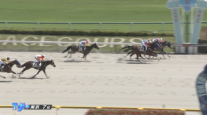 【日曜東京7R】嶋田騎手の逃げ切り、ゆずきちゃんの末脚