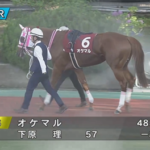 【兵庫優駿】6戦6勝兵庫二冠馬オケマル出走