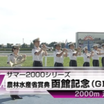 【函館記念】ヴェローチェエラ&佐々木大輔騎手がキタ━━━━(゚∀゚)━━━━!!