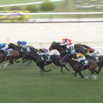 【定期】2025年の下半期まで競馬やめる! 他