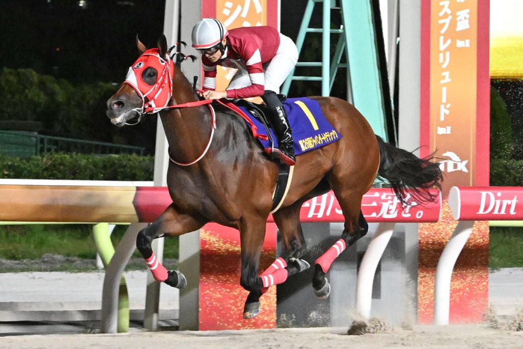 矢作師「フォーエバーヤングは絶対にどこかで芝を使う。できれば日本で。」