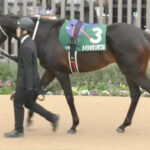 【競馬予想】[2]第60回北九州記念(GⅢ) /2025