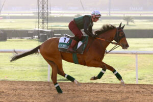 キングジョージ制覇カランダガン、インターナショナルS見送りジャパンカップ目標