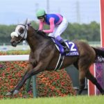 メイショウタバル 秋は天皇賞を目標に