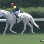 【競馬】函館5R 武豊騎乗のマルガが逃げ切り快勝