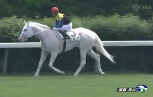 【競馬】函館5R　武豊騎乗のマルガが逃げ切り快勝