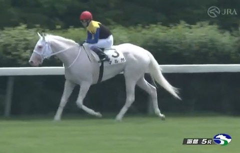 【競馬】函館5R 武豊騎乗のマルガが逃げ切り快勝