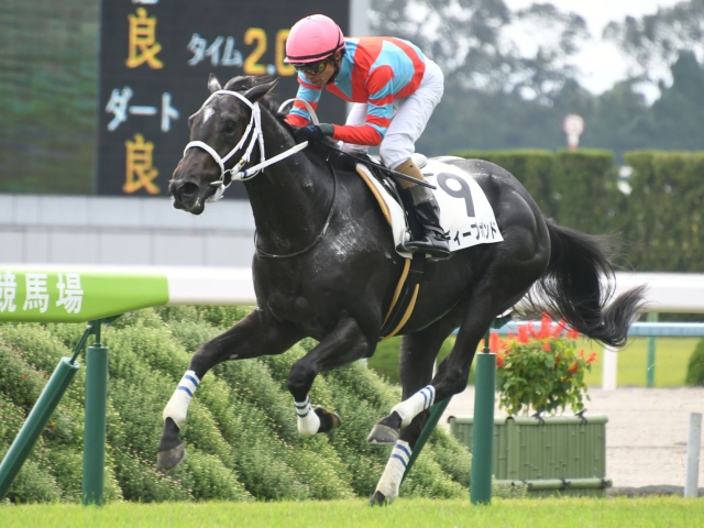 G1勝てると思ってたG1未勝利競走馬