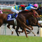 芝ダート二刀流の好きだった馬