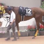 【競馬予想】[2]第61回小倉記念(GⅢ) /2025