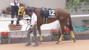 【競馬予想】[2]第61回小倉記念(GⅢ) /2025