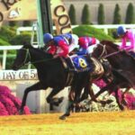 思い出の菊花賞前哨戦