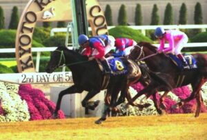 思い出の菊花賞前哨戦