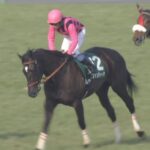 【競馬】ファンディーナの強さはハープスター級
