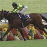 【競馬/阪神大賞典】今回のサトノダイヤモンド級の単勝超鉄板の馬が飛んだレースって過去にあるもんなの?